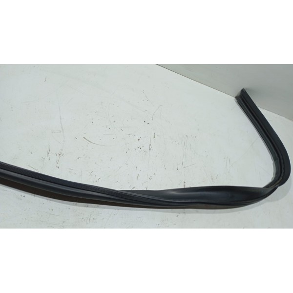 Borracha Teto Pingadeira L.e Renault Duster 20 A 24
